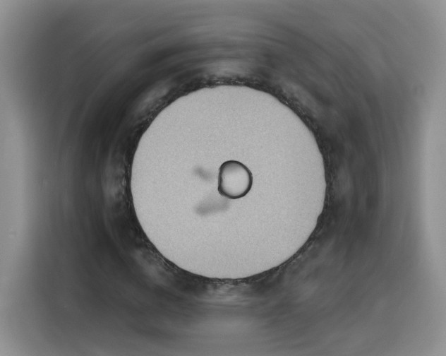 X0000116130824200911231233