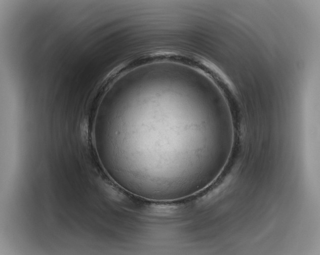 X0000116130825200911231233