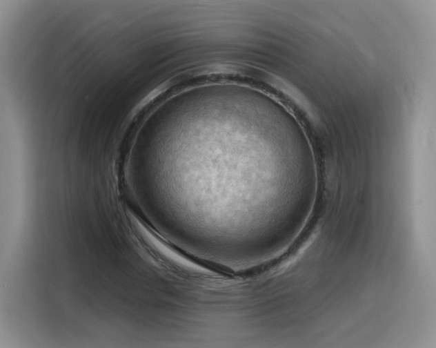 X0000116130826200911231233