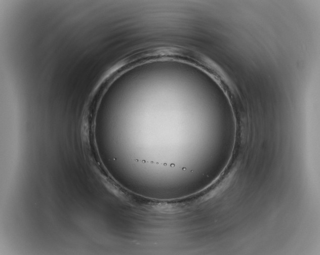 X0000116130827200911231233