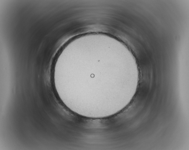 X0000116130828200911231233