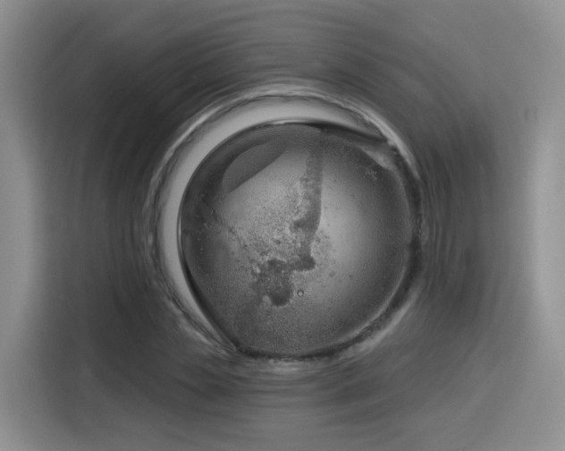 X0000116130829200911231233