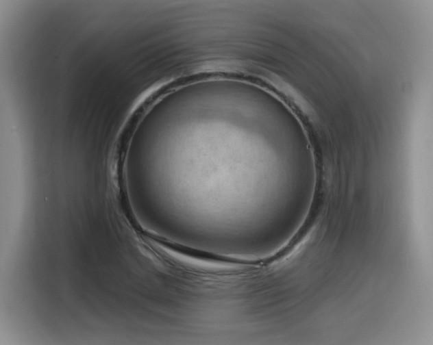 X0000116130830200911231233