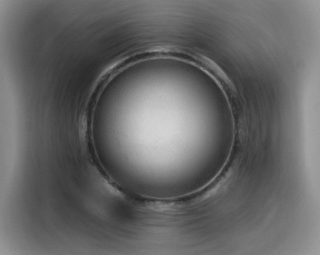 X0000116130831200911231233