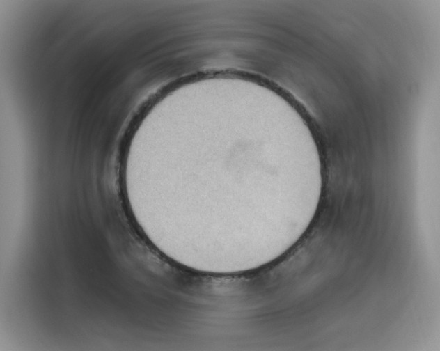 X0000116130832200911231233