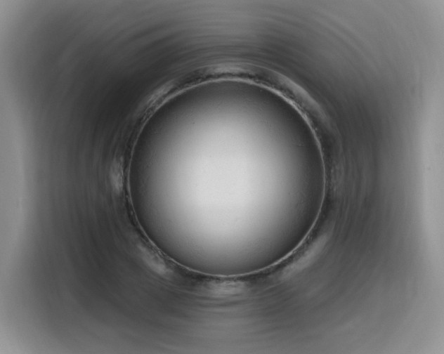 X0000116130833200911231233
