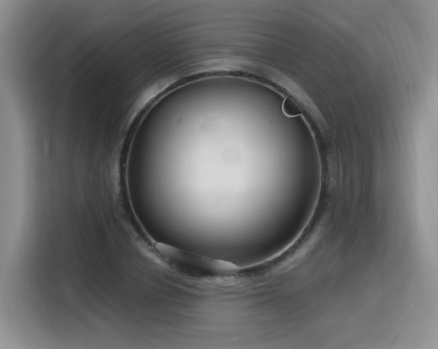 X0000116130834200911231233