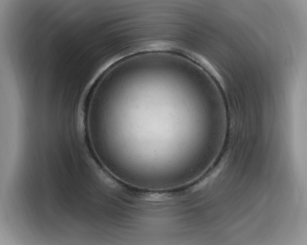 X0000116130835200911231233