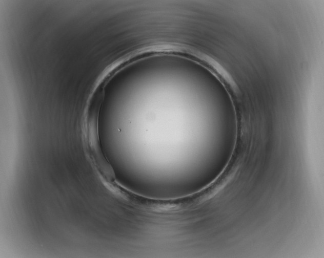 X0000116130837200911231233