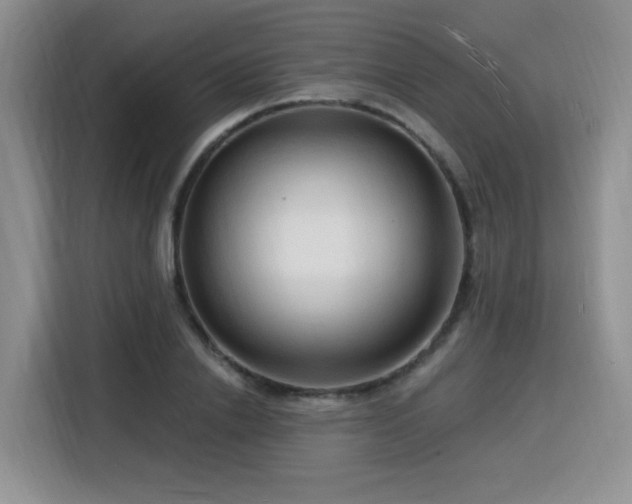X0000116130838200911231233