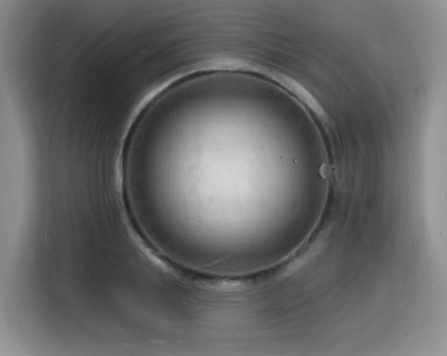X0000116130839200911231233