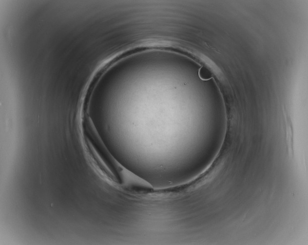 X0000116130840200911231233