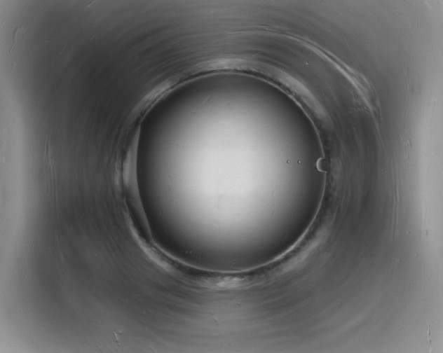 X0000116130841200911231233
