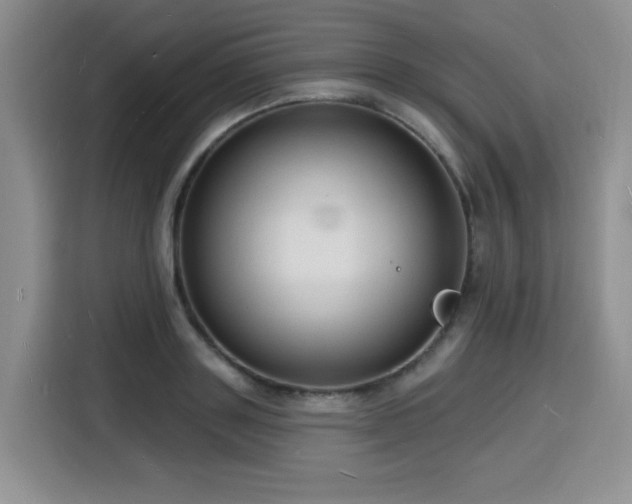 X0000116130843200911231233