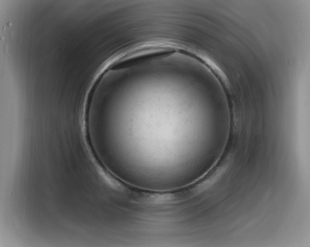 X0000116130845200911231234