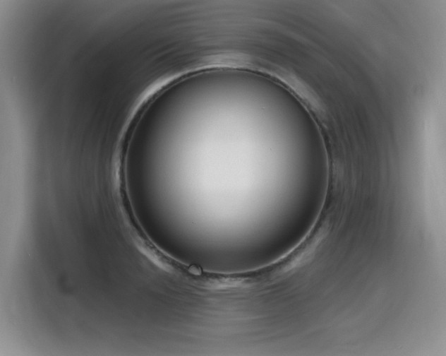 X0000116130846200911231234