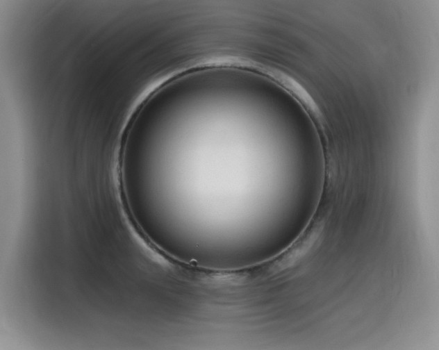 X0000116130847200911231234