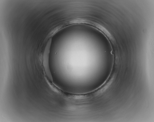 X0000116130849200911231234