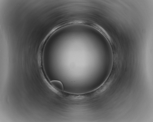 X0000116130851200911231234