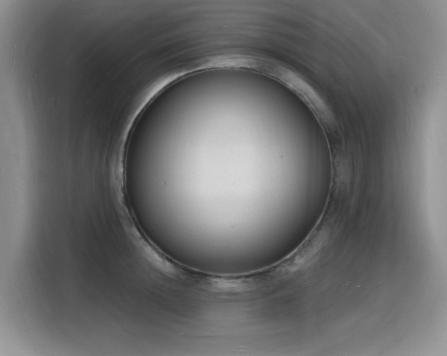 X0000116130852200911231234