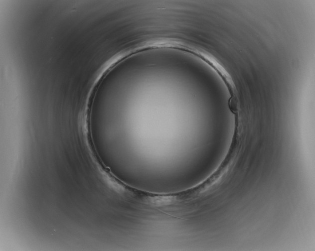 X0000116130853200911231234