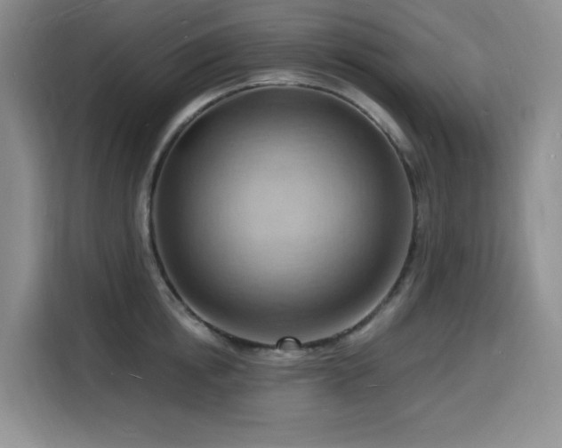 X0000116130854200911231234