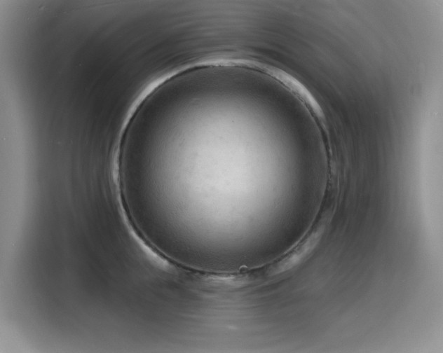 X0000116130855200911231234
