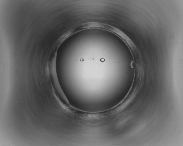 X0000116130857200911231234