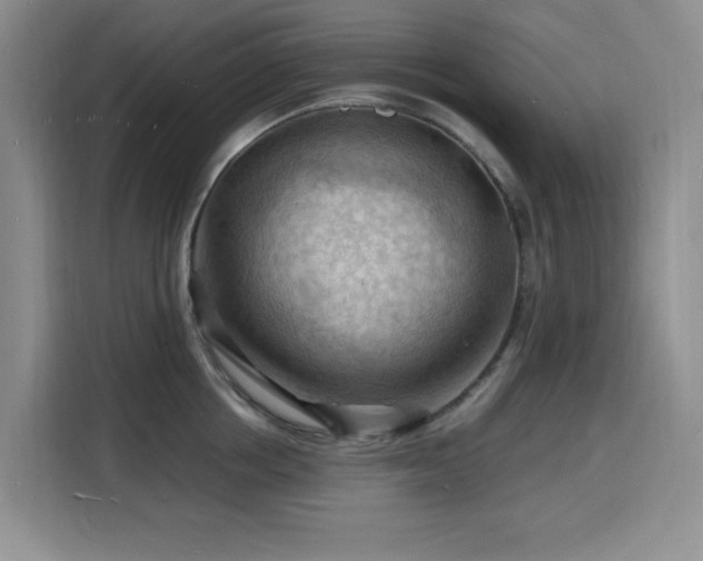 X0000116130858200911231234