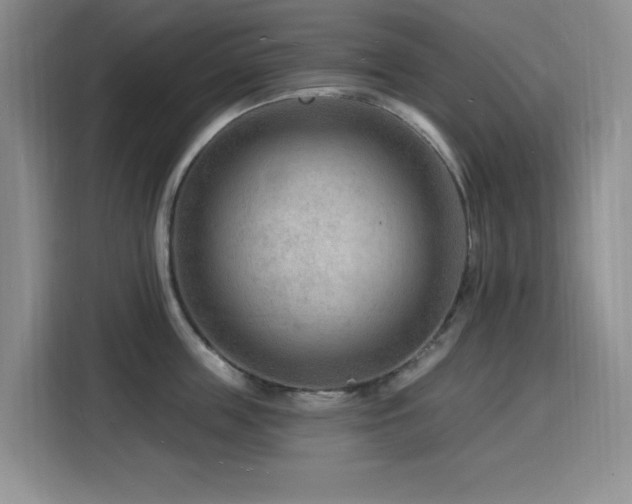 X0000116130859200911231234