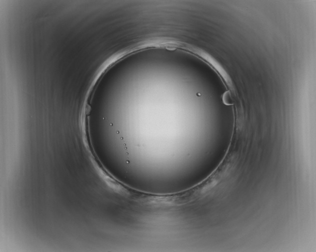 X0000116130861200911231234