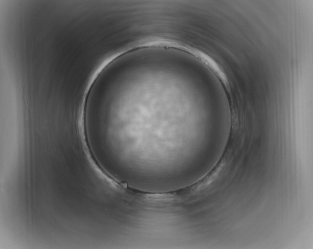 X0000116130863200911231234