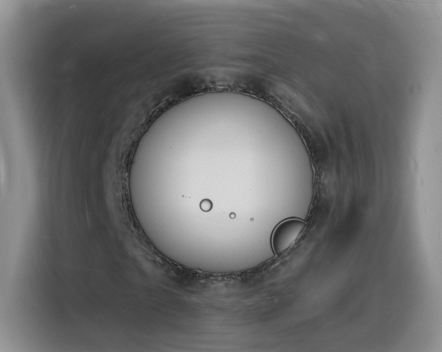 X0000116130865200911231233