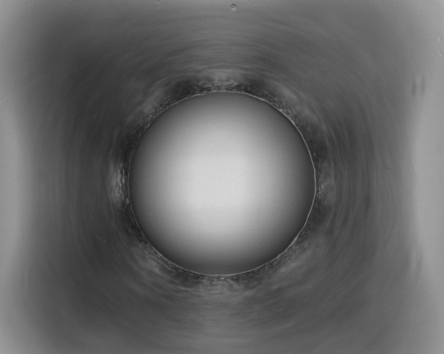 X0000116130866200911231233