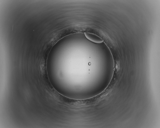 X0000116130867200911231233