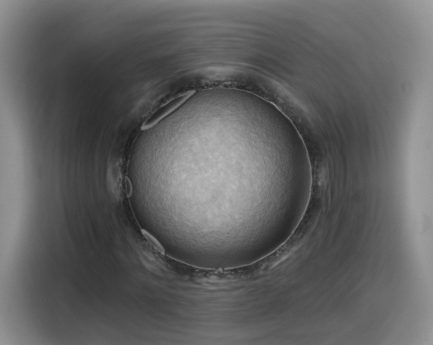 X0000116130868200911231233