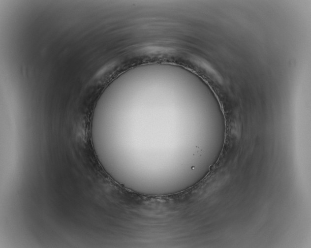 X0000116130869200911231233