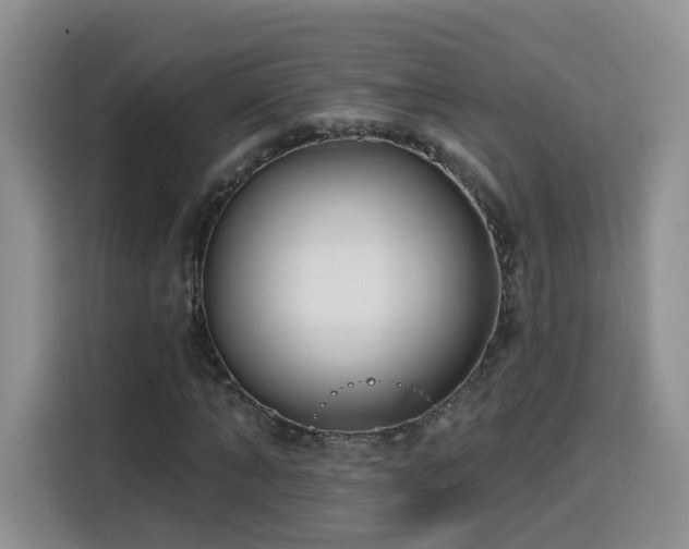X0000116130870200911231233