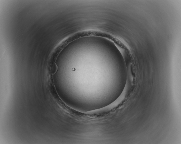 X0000116130872200911231233