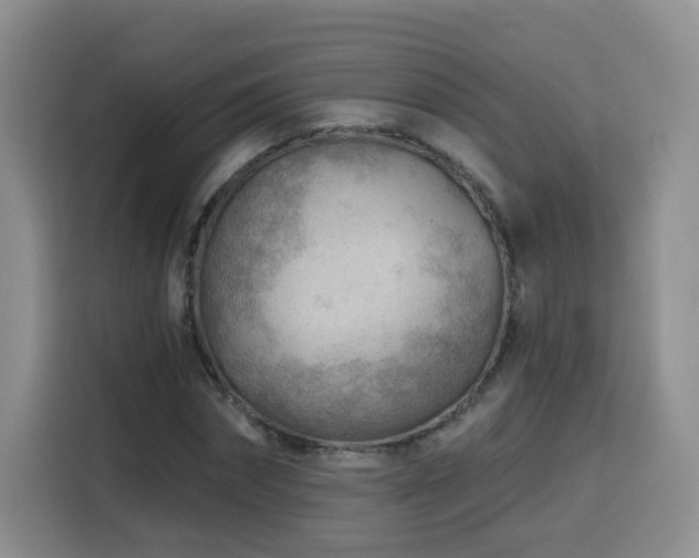 X0000116130874200911231233