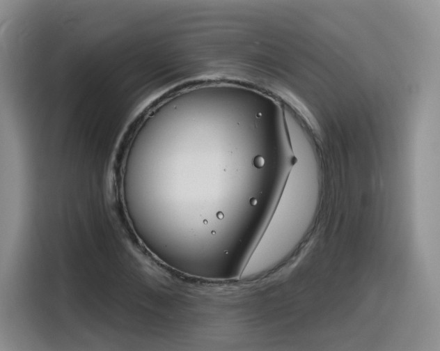 X0000116130876200911231233