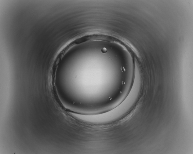 X0000116130877200911231233