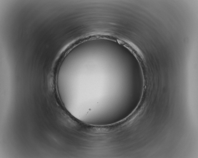 X0000116130878200911231233