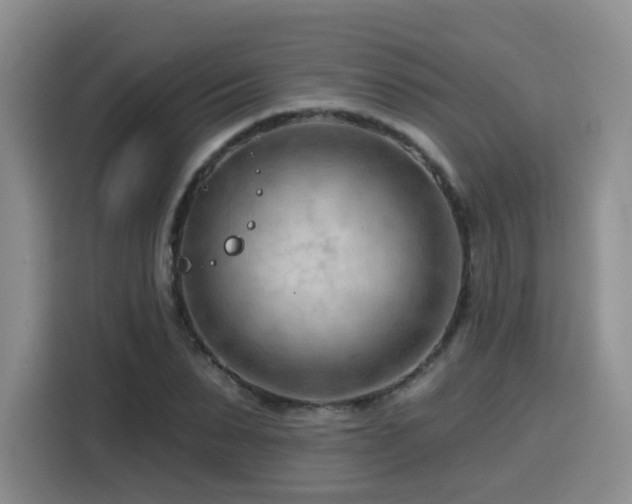 X0000116130879200911231233
