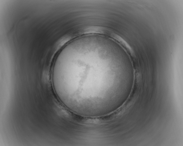 X0000116130882200911231233