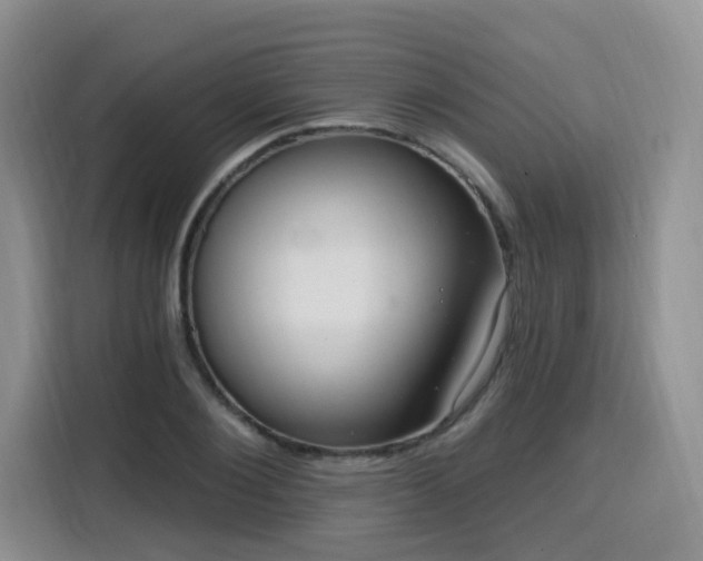 X0000116130884200911231233