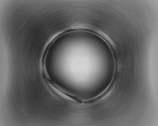 X0000116130885200911231233