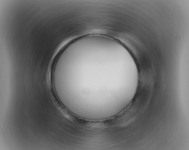 X0000116130886200911231233