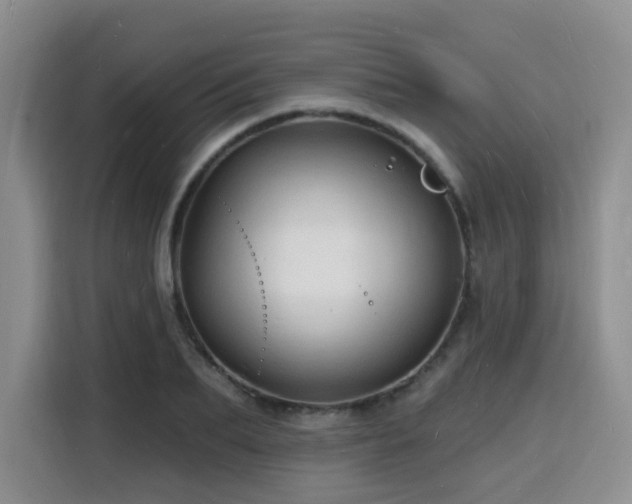 X0000116130887200911231233