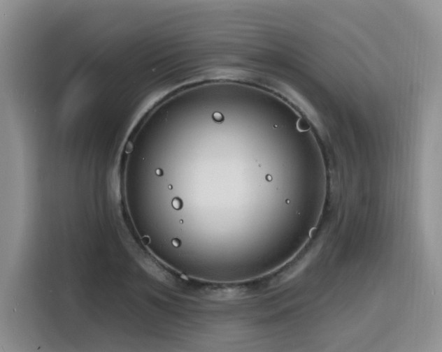 X0000116130891200911231233